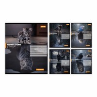 Зошит 24арк. кліт. 1В Inner strength №768960(20)(320)