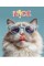 Зошит 48арк. кліт. Star "Cat's portraits" УФ-лак №048-3631K(10)(100)