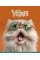 Зошит 48арк. кліт. Star "Cat's portraits" УФ-лак №048-3631K(10)(100)