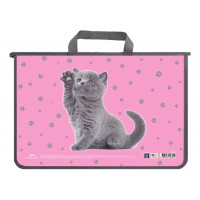 Портфель "Maxi" №MX30059 А4 пласт. на блиск.