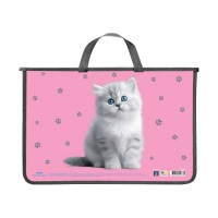 Портфель "Maxi" №MX30062 А4+ пласт. на блиск.