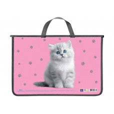 Портфель "Maxi" №MX30062 А4+ пласт. на блиск.
