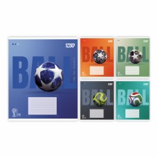 Зошит 24арк. кліт. 1В Ball №768681(20)(320)