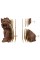Пазли 3D "Cartonic" Yorkshire Terrier