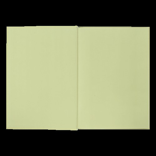 Книга-канц. А4 96арк. кліт. тв. лам. офс. "Morandi Style" оливкова №BM.2400-436i/Buromax/