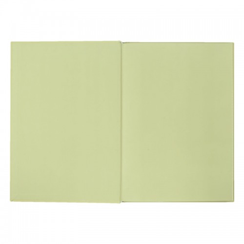Книга-канц. А4 96арк. кліт. тв. лам. офс. "Morandi Style" оливкова №BM.2400-436i/Buromax/