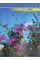 Книга-канц. А4 96арк. кліт. тв. лам. офс. "Nature" асорті №BM.2400i/Buromax/