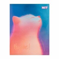 Щоденник шк. А5 інтегр. Gradient Cat 40арк. №911741/Yes/(20)