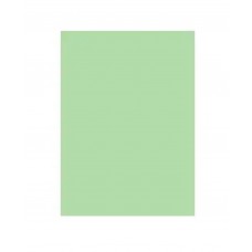 Папір кольор. А4 160г/м паст. MC MG28 Medium Green (ніжно-зелений)(10)