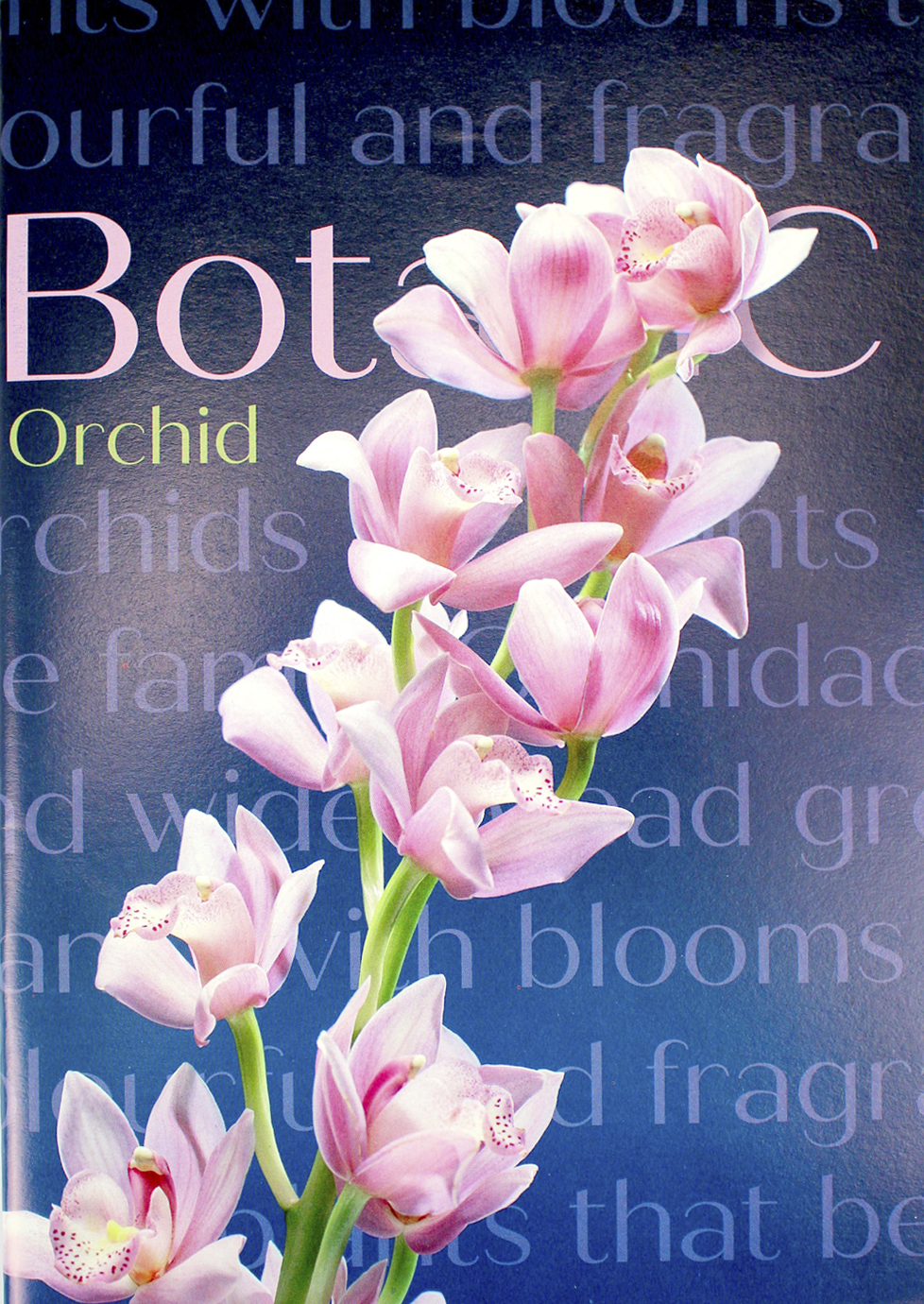 Книга-канц. А4 48арк. кліт. м'як. обкл. офс. "Економ" №ККР-48/Міцар/(30) — фото товару | Канцелярський Сад