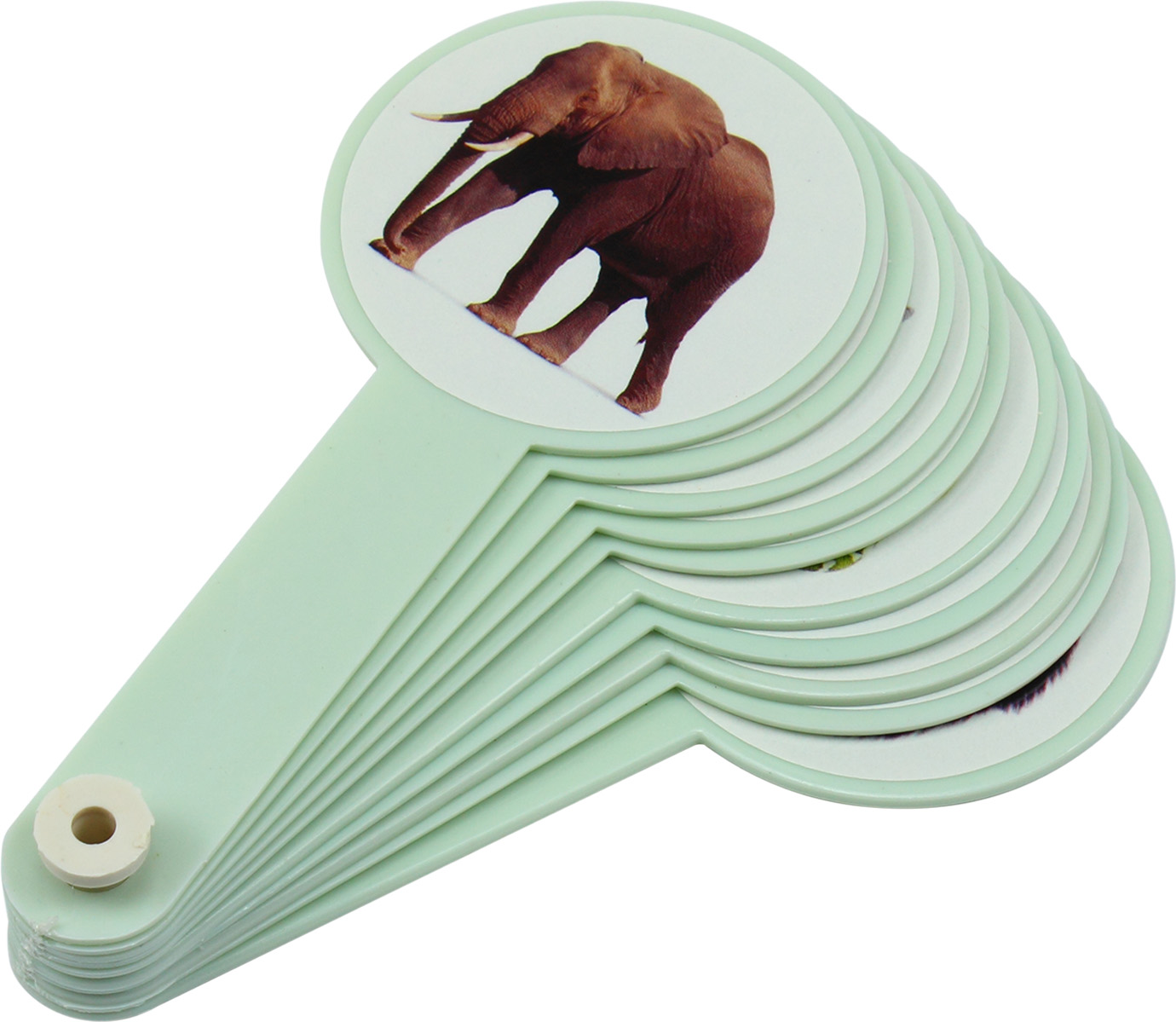 Віяло "Дикі тварини" — купити | Канцелярський Сад