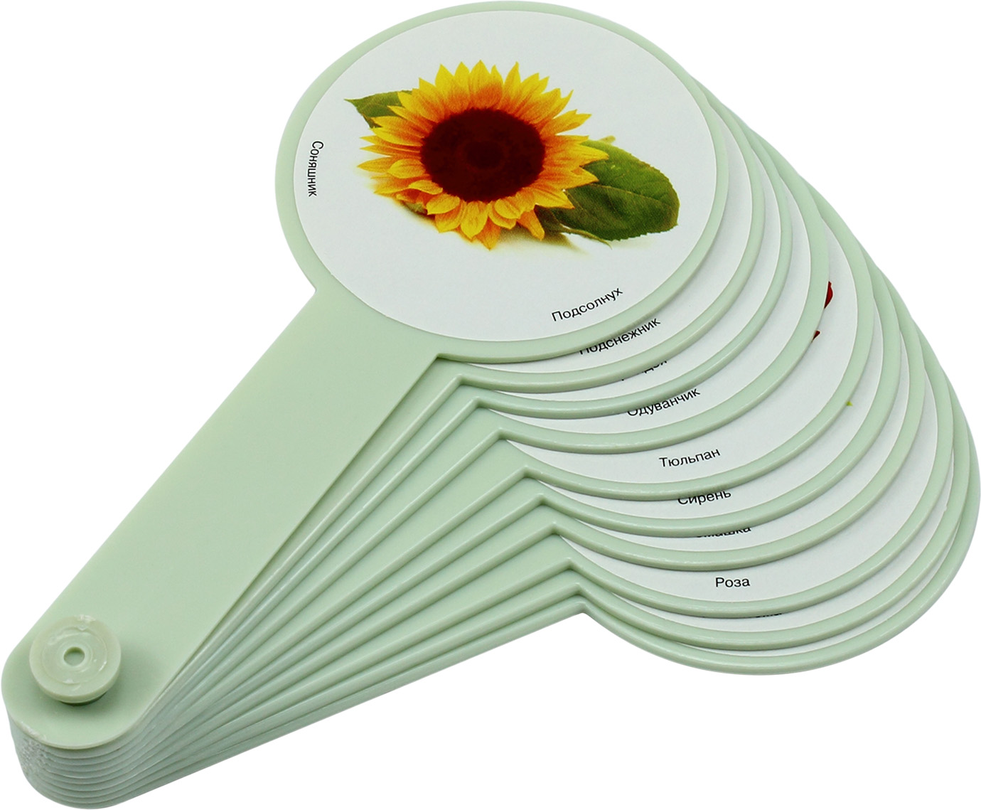 Віяло "Квіти" — купити | Канцелярський Сад