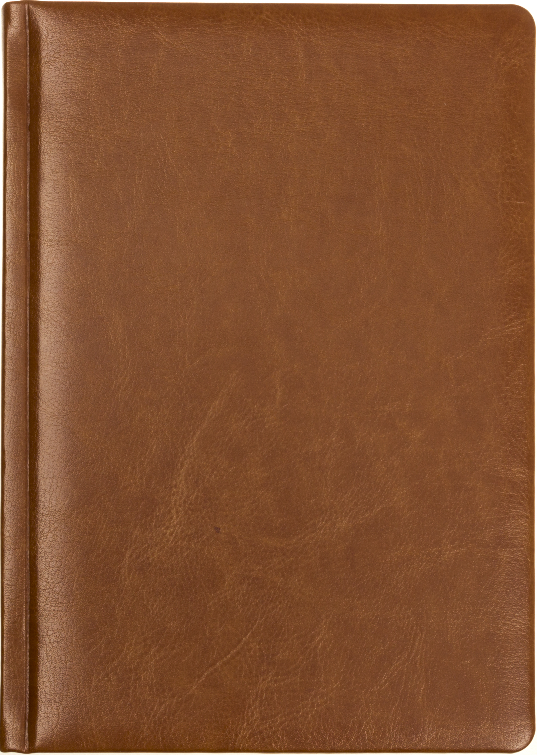 Щоден. А5 "Economix" недат. лін. Nebraska коричневий №22029-07(20) — фото товару | Канцелярський Сад