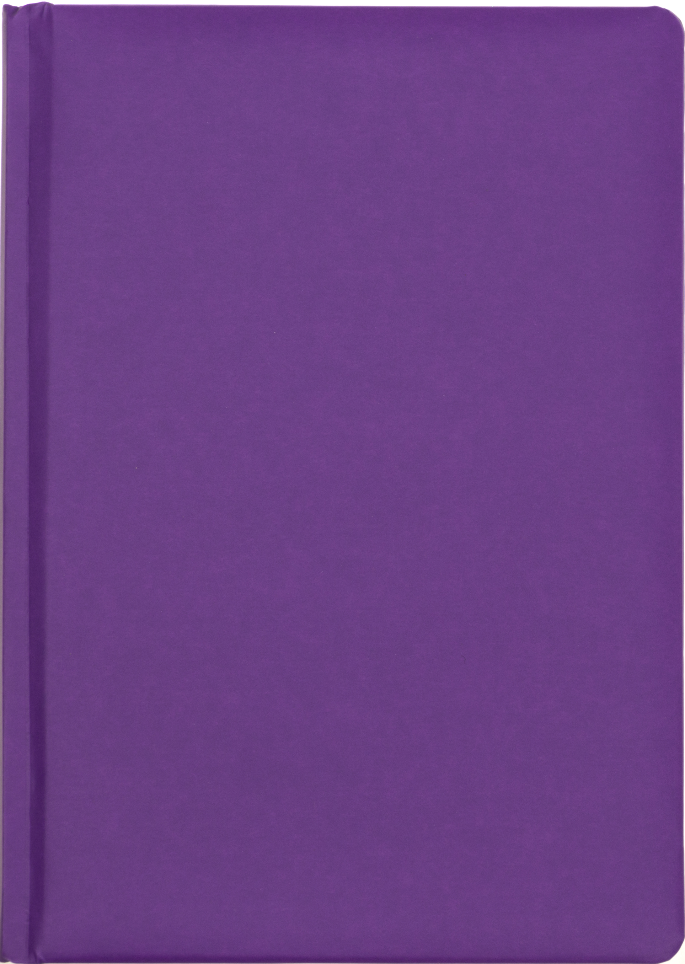 Щоден. А5 "Economix" недат. лін. Satin фіолетовий №22032-12(20) — купити | Канцелярський Сад