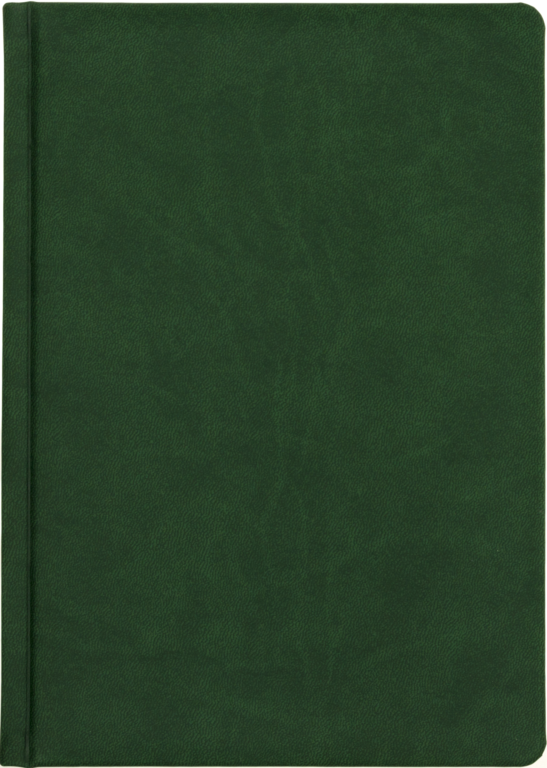 Щоден. А5 "Economix" недат. лін. Vivella зелений №22034-04(20) — фото товару | Канцелярський Сад
