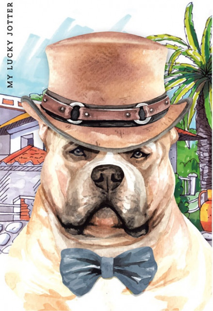 Блокнот А6 64арк. кліт. мат. лам. №9036/БК211/21/19375/Мандарин/(10) — фото товару | Канцелярський Сад