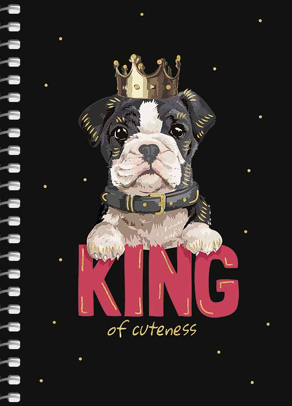 Блокнот пруж. А6 80арк. кліт. карт. "Student" №A6-SC-080-6087K/Школярик/(4)(144) — фото товару | Канцелярський Сад