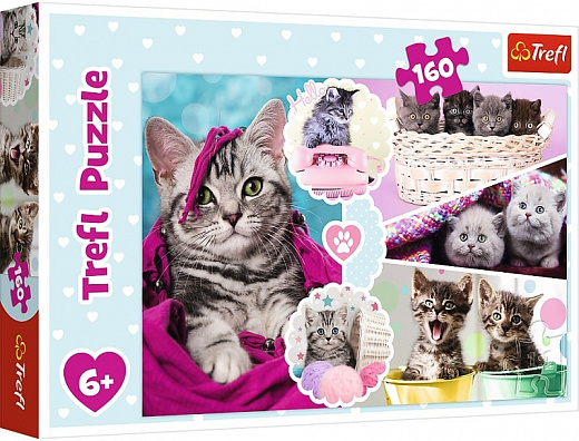 Пазли Trefl 160ел. Милі кошенята №15371(12) — фото товару | Канцелярський Сад