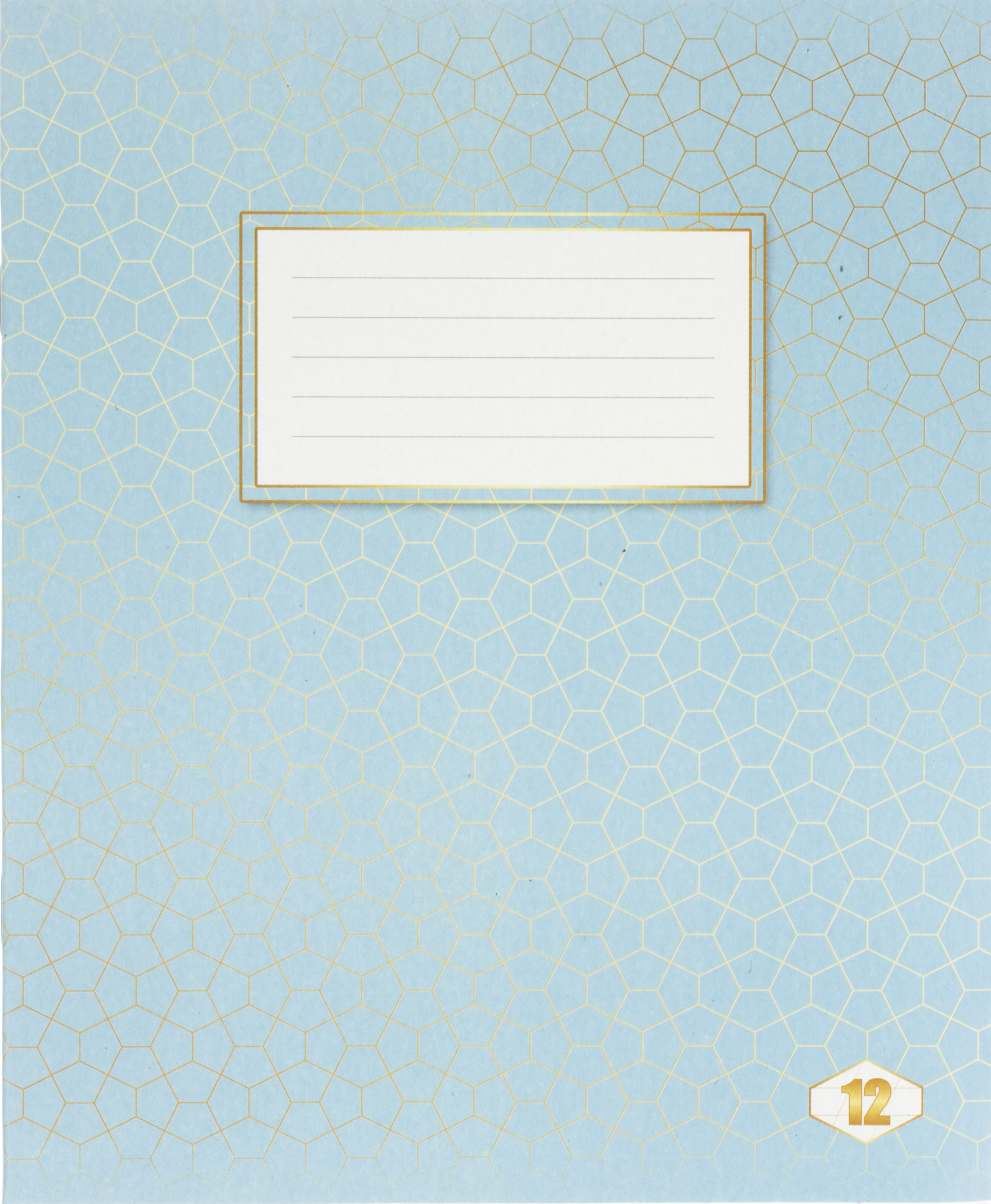 Зошит 12арк. кос.лін. /ТВ/ "Фоновий Шкільний" №ТЕ12897(25)(700) — фото товару | Канцелярський Сад