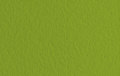 Папір кольор. А4 160г/м паст. REY Adagio Pistachio 33 (фісташковий)(250)(1250) — фото товару | Канцелярський Сад