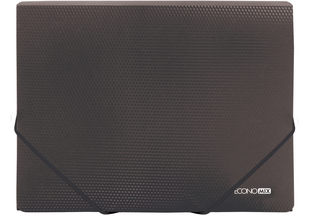 Папка "Economix" №E31601-51 А4 для докум. пласт. на рез. чорна(20) — фото товару | Канцелярський Сад