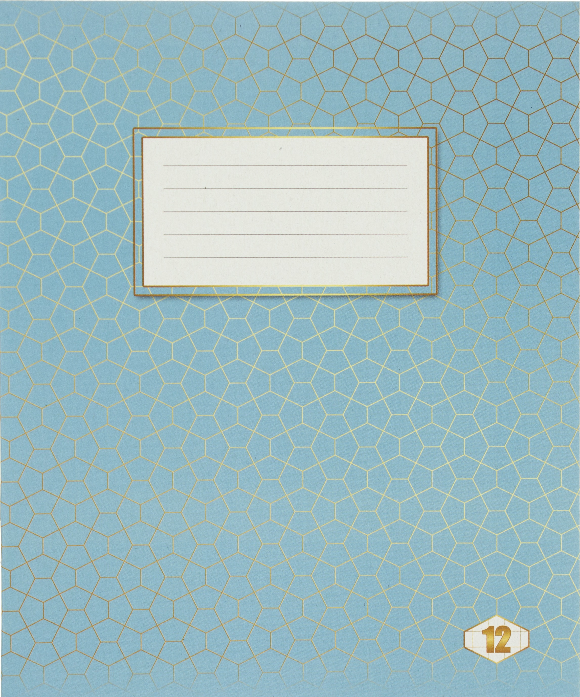 Зошит 12арк. кліт. /ТВ/ "Фоновий Шкільний" №ТЕ12794(25)(700) — фото товару | Канцелярський Сад