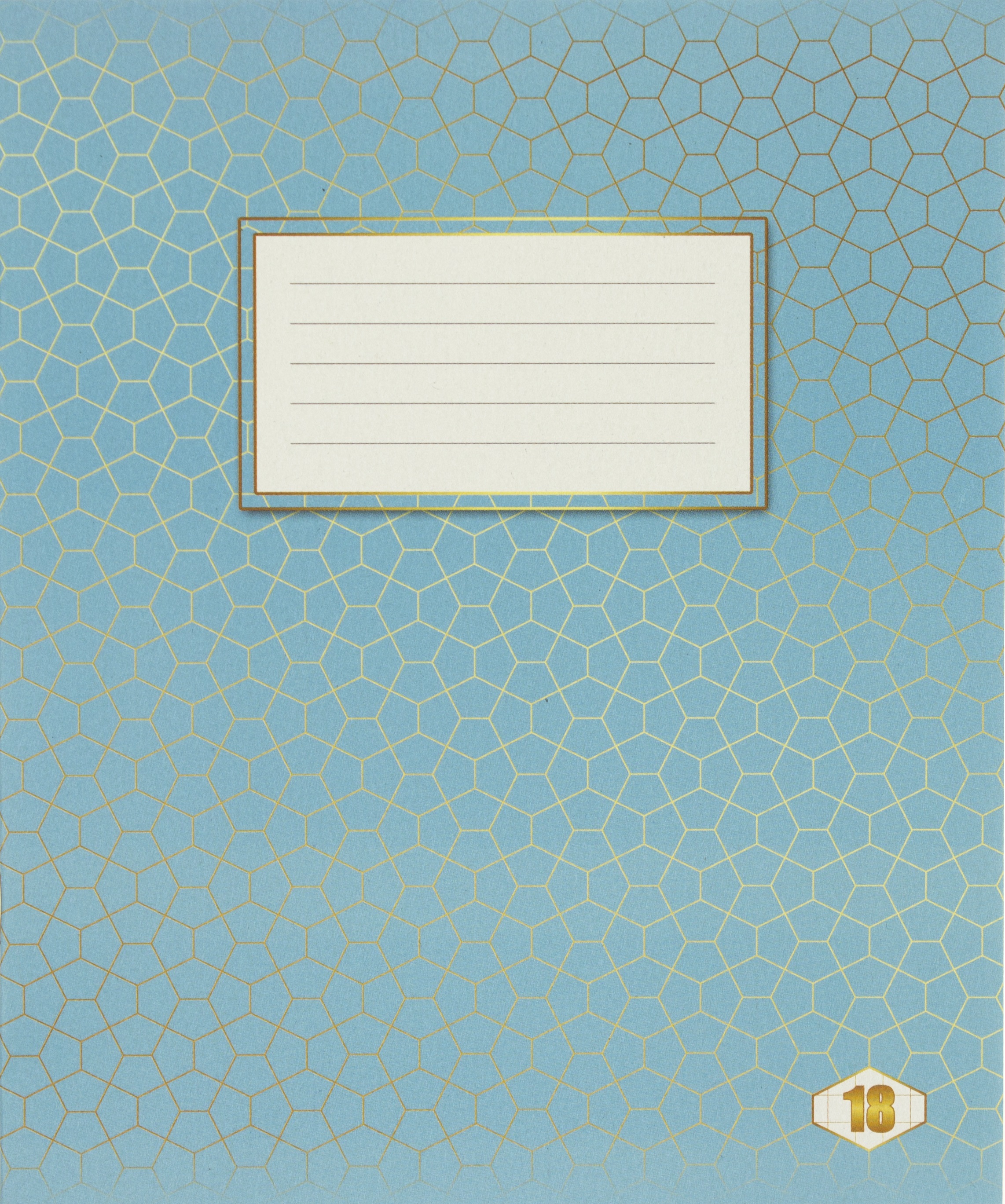 Зошит 18арк. кліт. /ТВ/ "Фоновий Шкільний" №ТЕ12796(20)(480) — фото товару | Канцелярський Сад