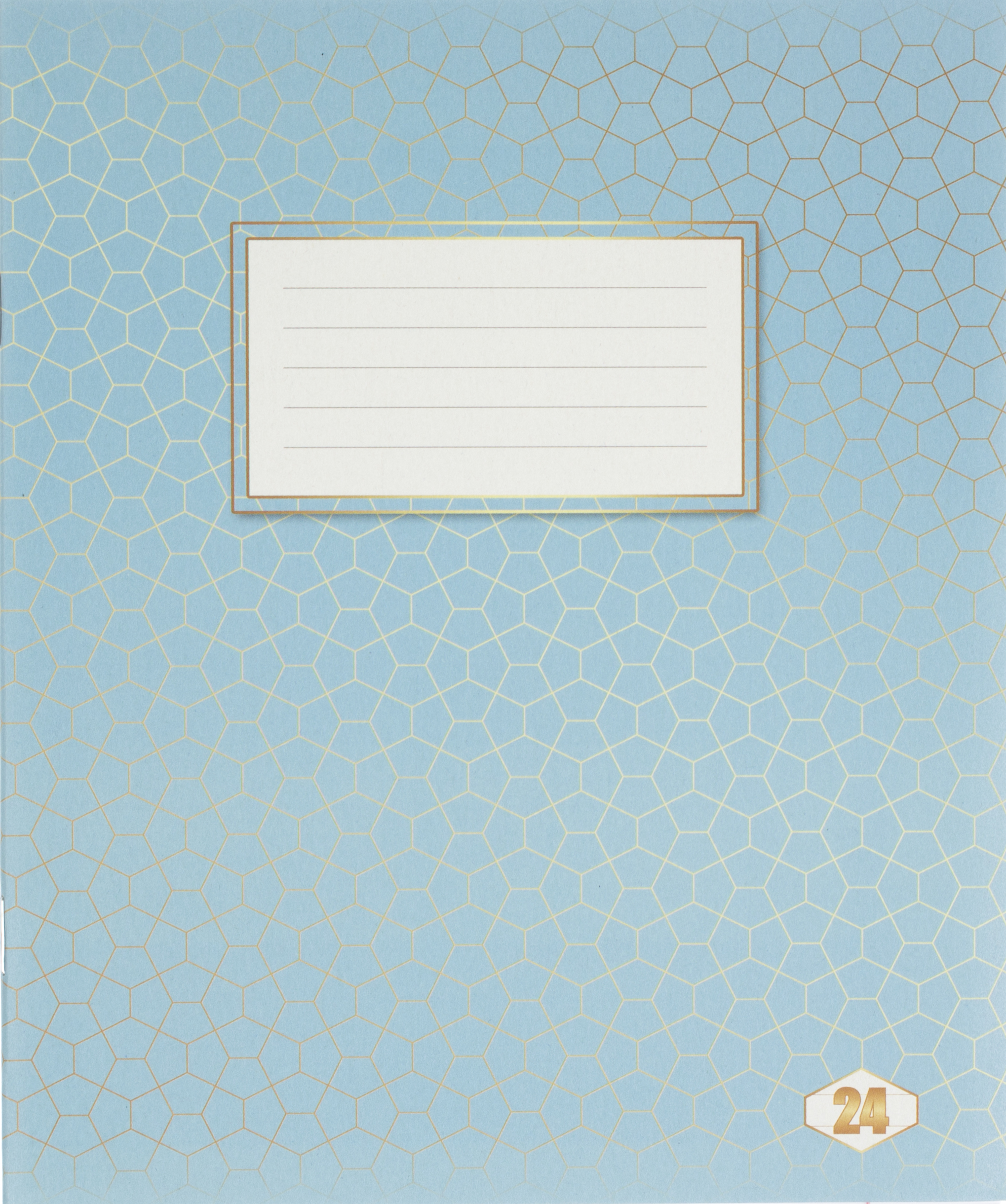 Зошит 24арк. лін. /ТВ/ "Фоновий Шкільний" №ТЕ12799(20)(400) — фото товару | Канцелярський Сад