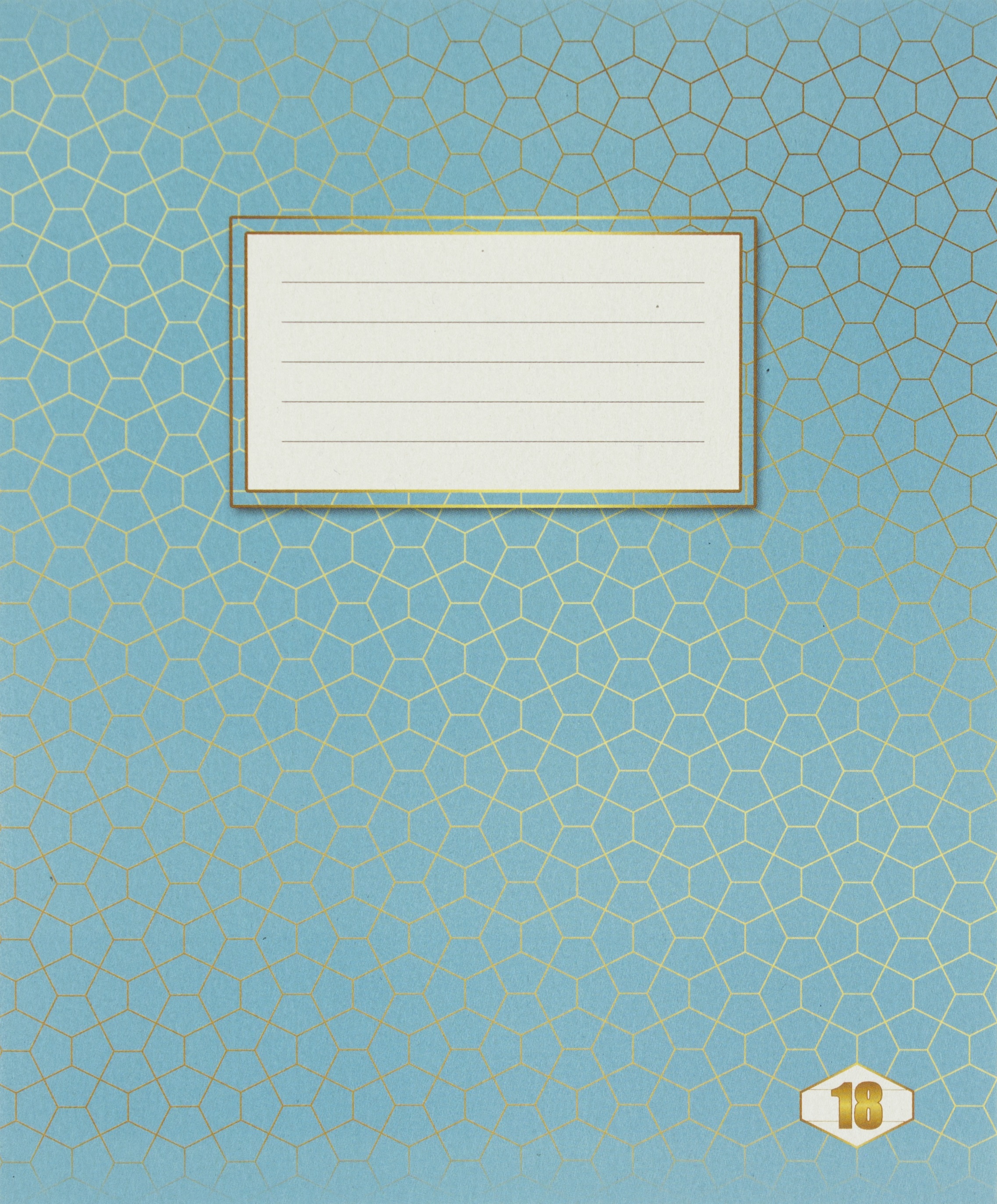 Зошит 18арк. лін. /ТВ/ "Фоновий Шкільний" №ТЕ12797(20)(480) — фото товару | Канцелярський Сад