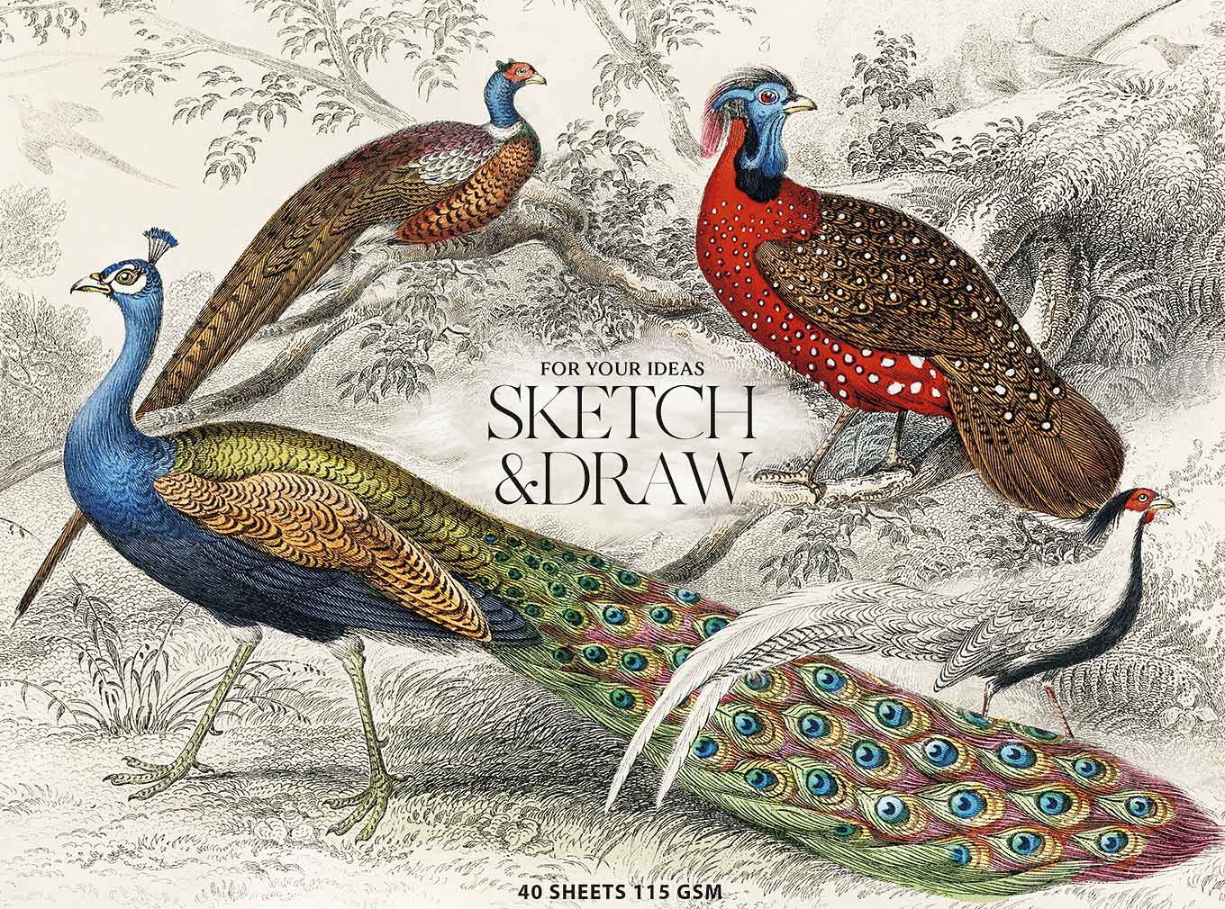 Альбом для ескізів та малювання склейка 40/115 А5+ "Muse" №PB-GB-040-068/Школярик/(1)(88) — фото товару | Канцелярський Сад