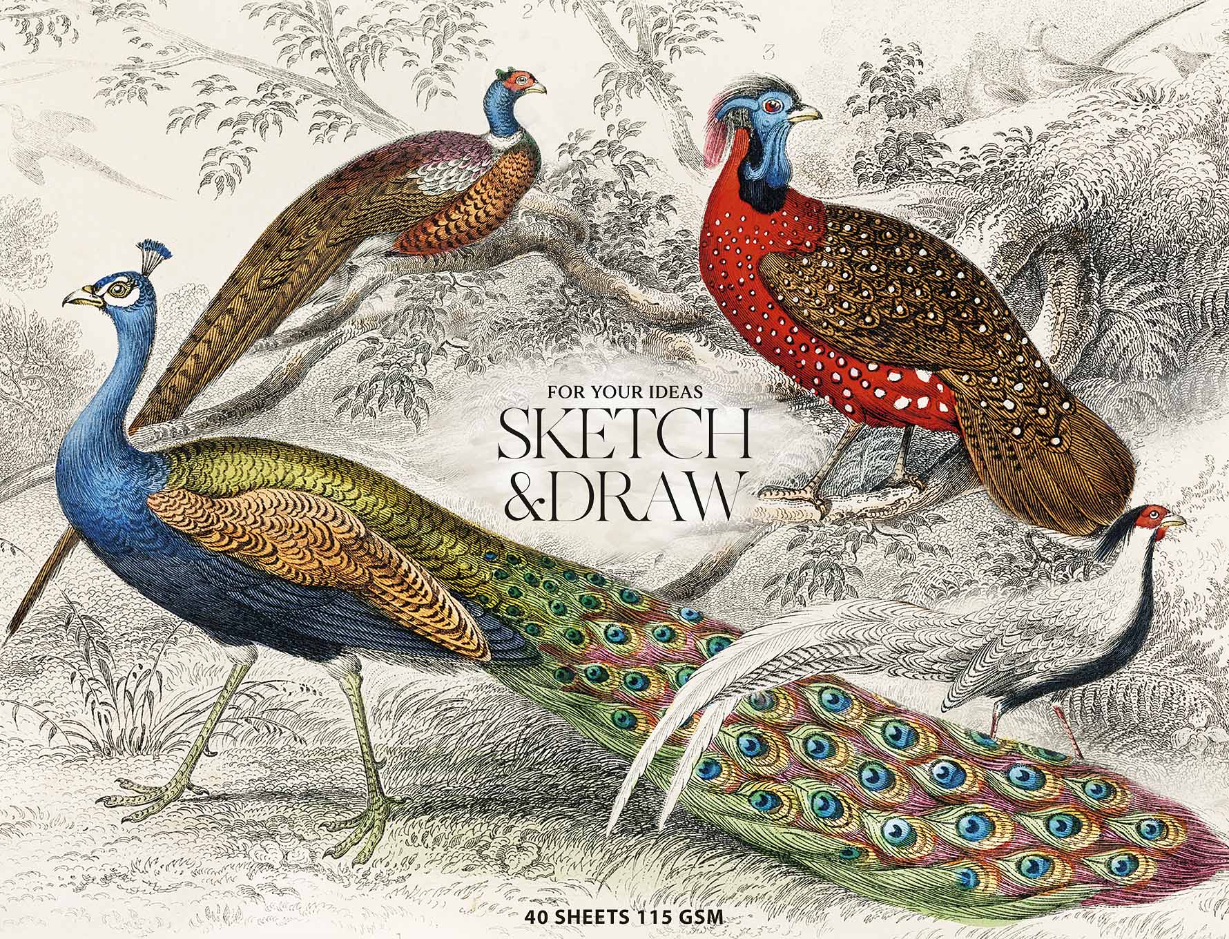 Альбом для ескізів та малювання склейка 40/115 А4+ "Muse" №PB-GB-040-067/Школярик/(1)(44) — фото товару | Канцелярський Сад