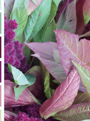 Фотоальбом "EVG" №BKM46200 10х15х200 Foliage(12) — фото товару | Канцелярський Сад