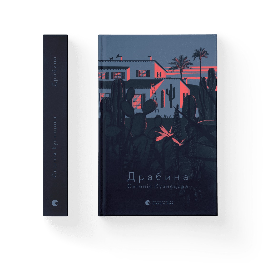 Книжка А5 "Драбина" Є.Кузнецова №0977(10) — фото товару | Канцелярський Сад