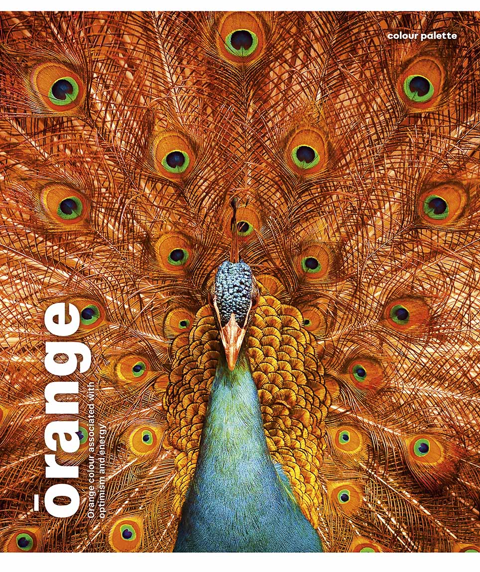 Зошит 48арк. лін. Школярик "Animal palette" УФ-лак №048-3245L(10)(100) — фото товару | Канцелярський Сад