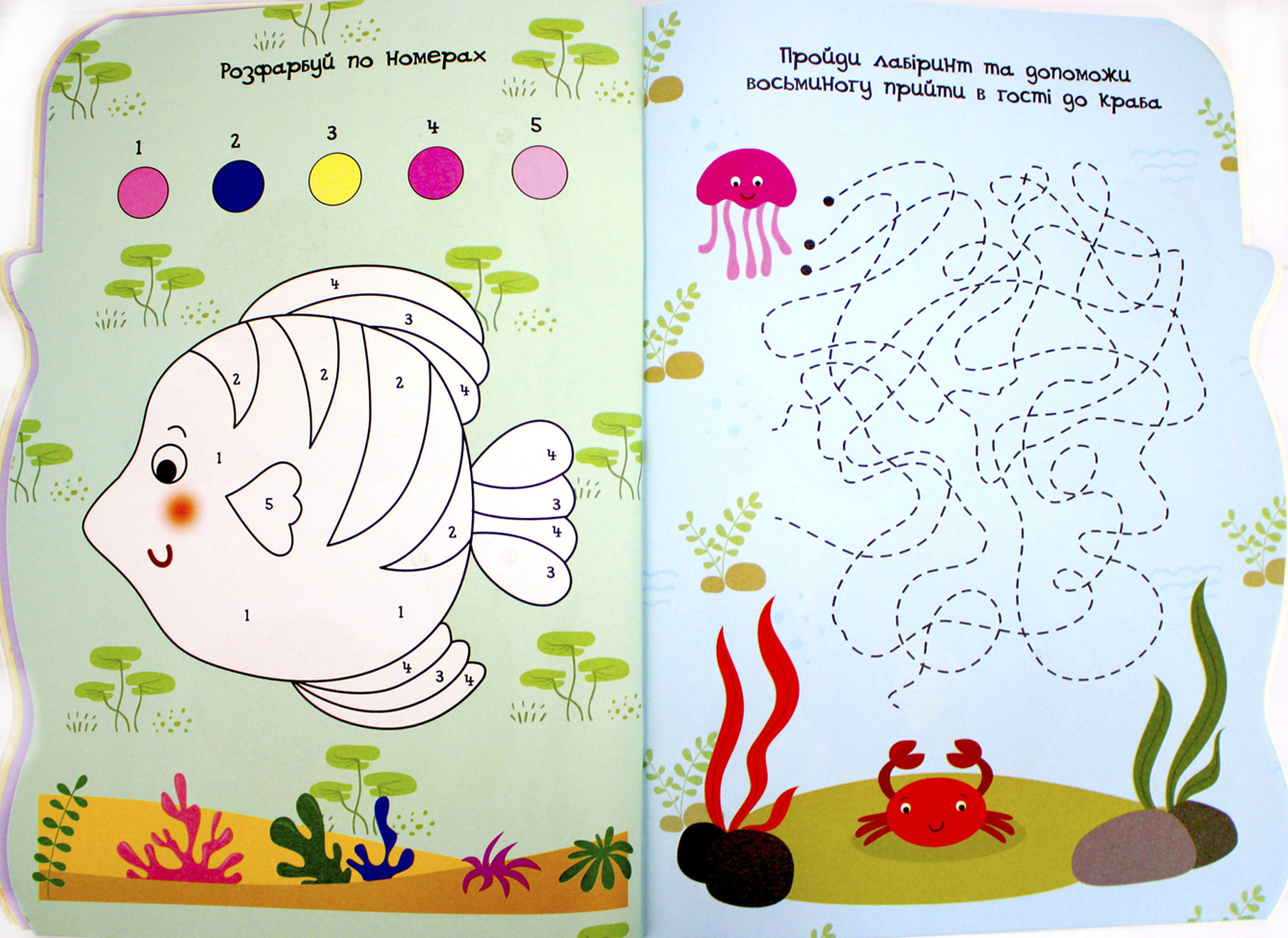 Розмальовка "Розмальовочка-розвивалочка" мікс №РМ-74/Апельсин/(16) — фото товару | Канцелярський Сад