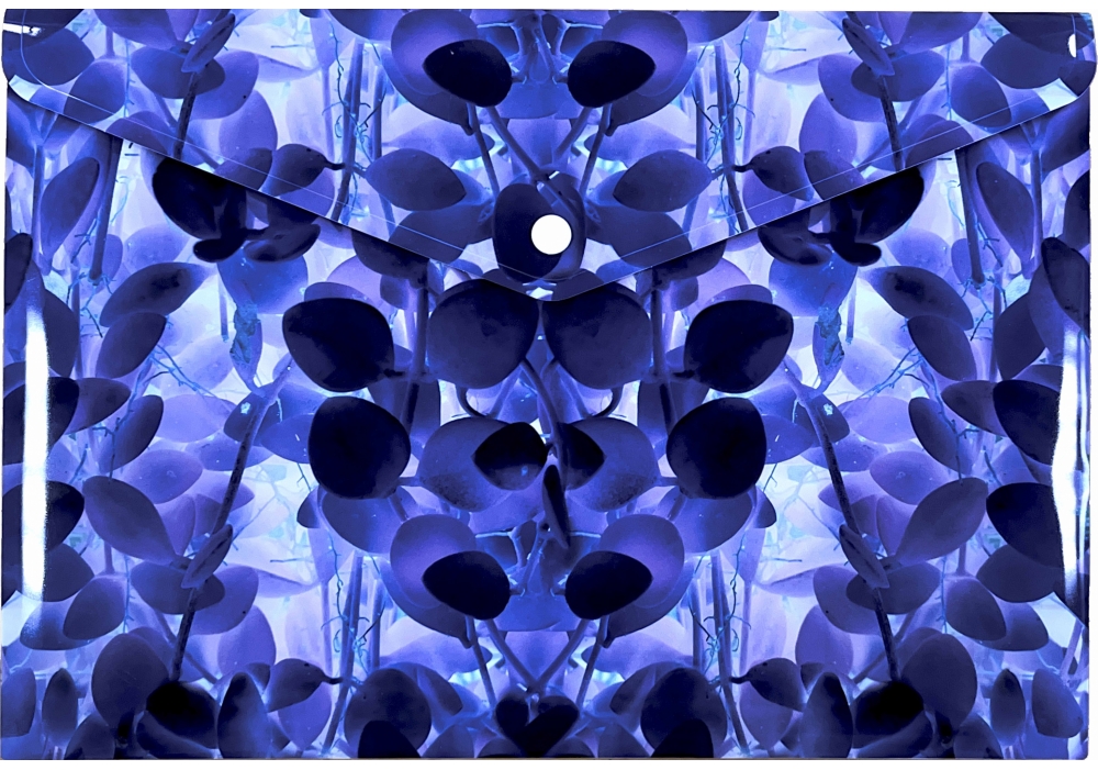 Папка-конверт "Optima" №O35246 А4 на кнопці з друком Violet, непрозора "глянець"(12)(120) — фото товару | Канцелярський Сад