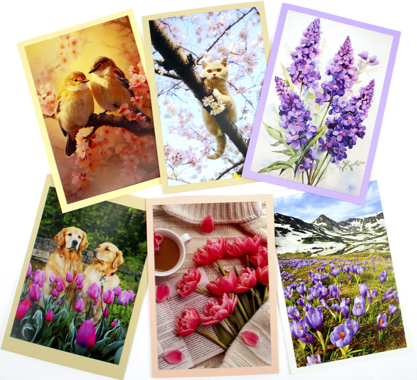 Листівка ручної роботи весняна асорті — фото товару | Канцелярський Сад