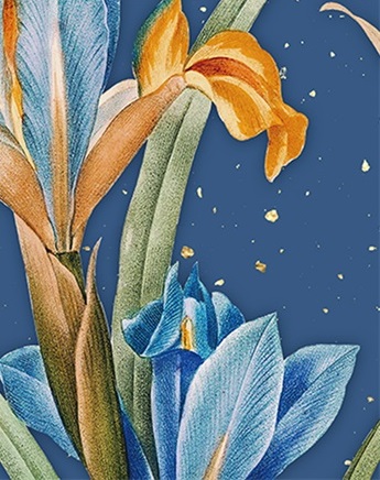 Фотоальбом "UFO" №PP-46200 10х15х200 Muza(24) — купити | Канцелярський Сад