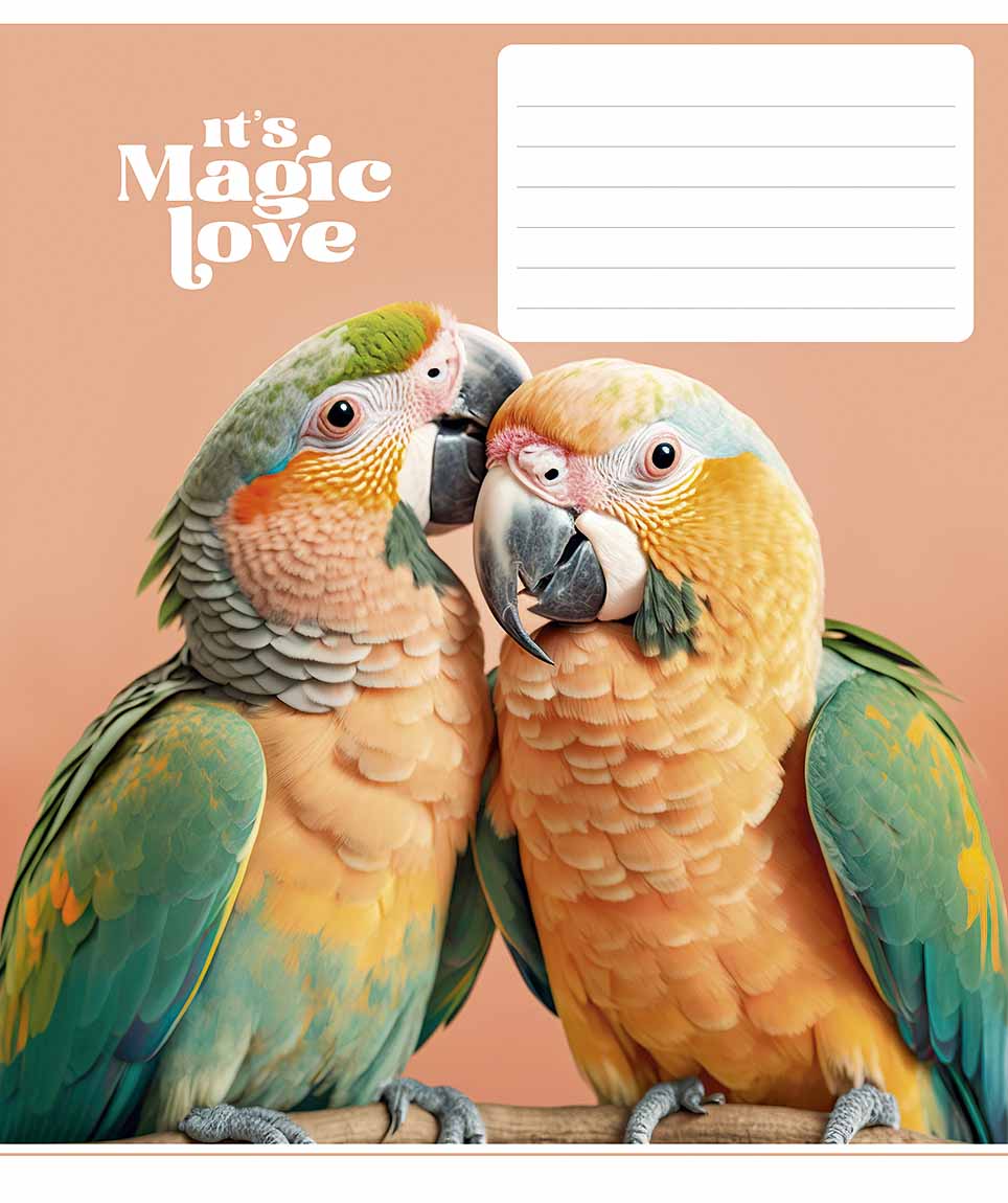 Зошит 12арк. лін. Star "It's a magic love" ВД-лак №012-3300L(30)(360) — фото товару | Канцелярський Сад