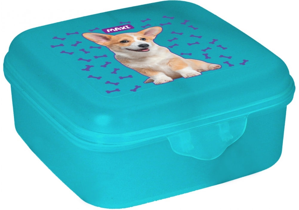 Ланч бокс пласт. "Maxi" 850мл бірюза №MX98125(15) — фото товару | Канцелярський Сад