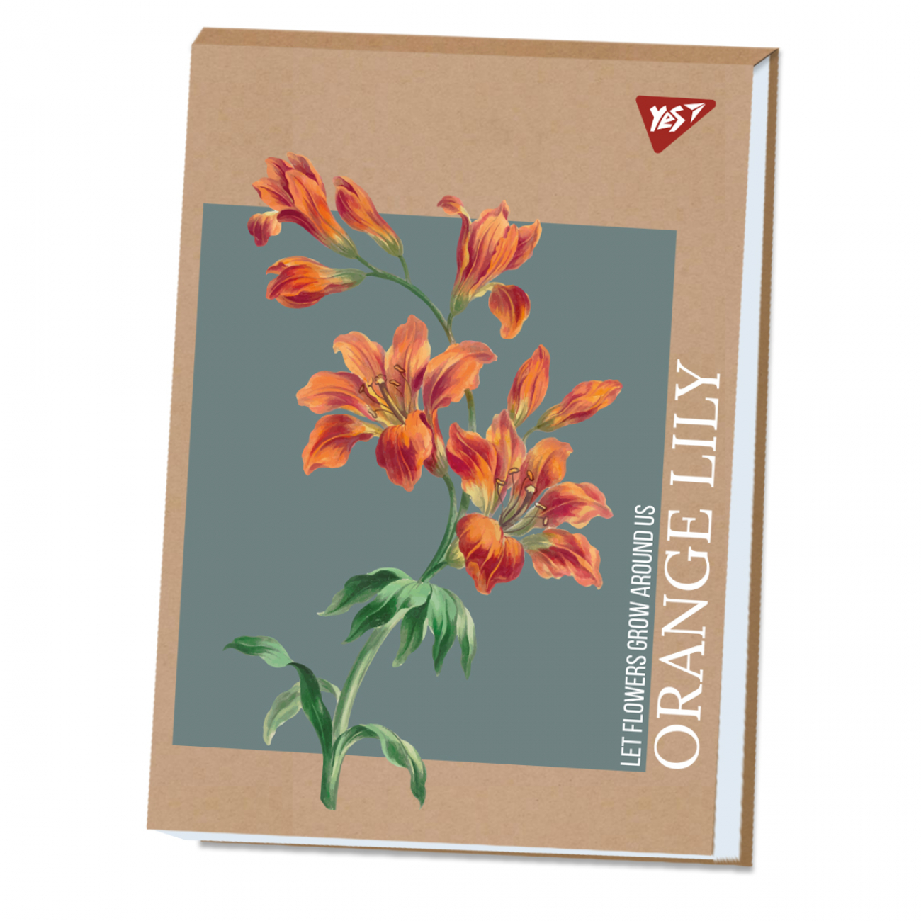 Альбом для малюв. склейка 40/100 А4 "Lily" крафт білила №130584/Yes/(6)(60) — купити | Канцелярський Сад