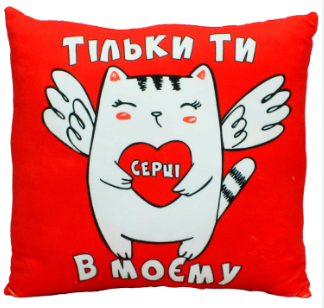 М'яка ігр. "Подушка з принтом №2, вітальна 2" 32x10х32 №00862-0099 — фото товару | Канцелярський Сад