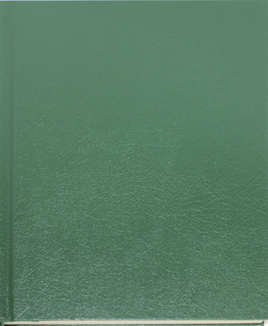 Щоден. А5 "Buromax" недат. 168арк. лін. Strong зелений №BM.20220-04(20) — фото товару | Канцелярський Сад