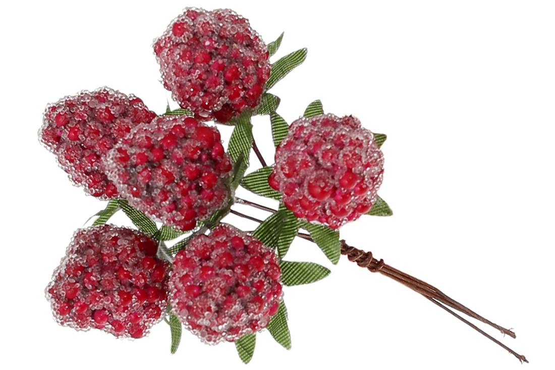 Букетик декор. 11см малина 6шт,червоний лід №839-407/Bonadi/(12)(48) — купити | Канцелярський Сад