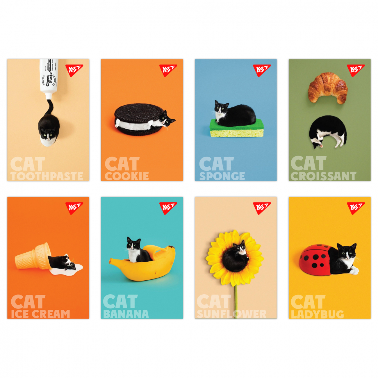 Блокнот А7 48арк. кліт. карт. Catstyle,клей №152099/Yes/(40)(320) — фото товару | Канцелярський Сад