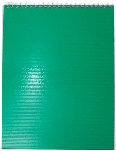 Блокнот пруж. верх. А5 48арк. кліт. пласт. "Economix" зелений №E20231-04(5)(80) — фото товару | Канцелярський Сад