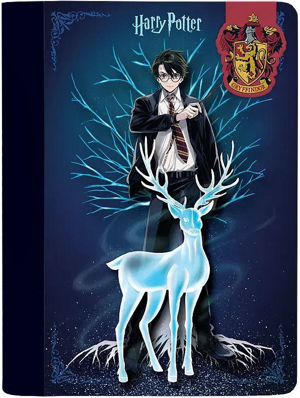 Блокнот А5 60арк. кліт. тв. обкл. Harry Potter з магнітною закладкою №HP25-192/Kite/(20)(40) — фото товару | Канцелярський Сад