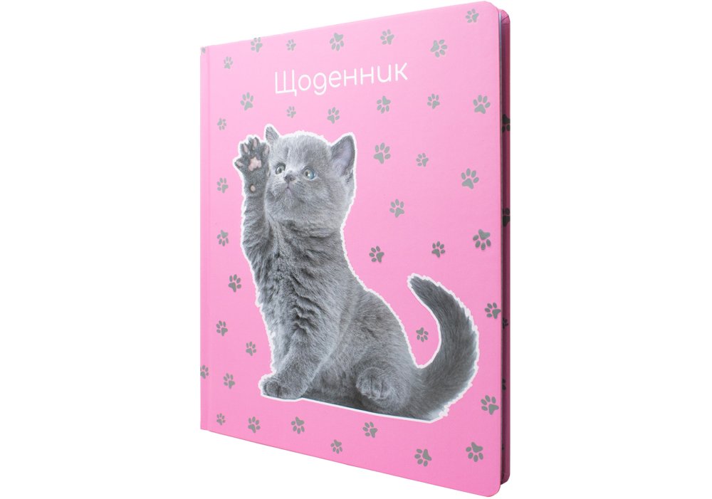 Щоденник шк. В5 "Maxi" №MX29911 48арк. тв. обкл.(36) — фото товару | Канцелярський Сад