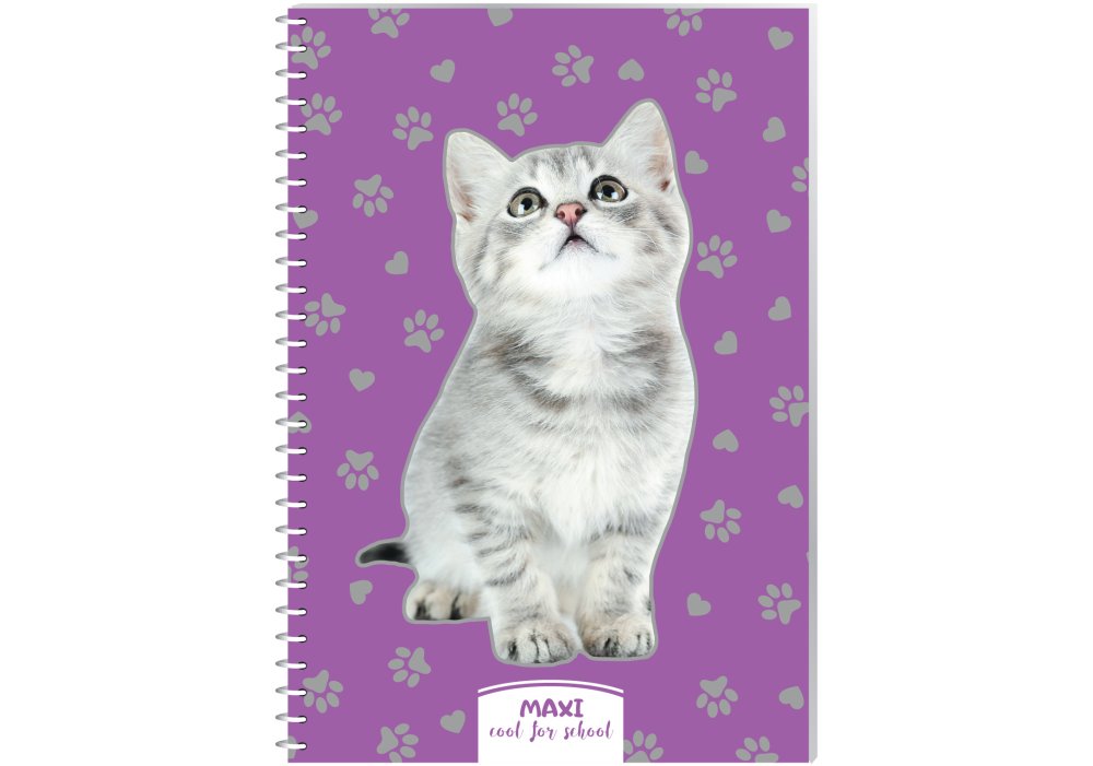 Блокнот пруж. А5 60арк. кліт. пласт. "Maxi" №MX21213-10(6)(8)(76) — фото товару | Канцелярський Сад