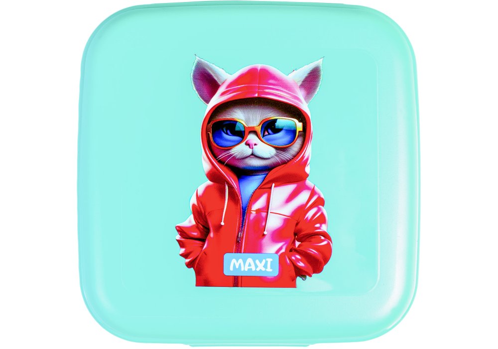 Ланч бокс пласт. "Maxi" 850мл м'ятний №MX98141(15) — фото товару | Канцелярський Сад